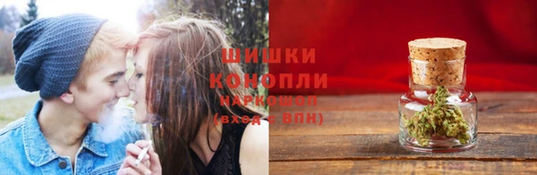 mix Богородск
