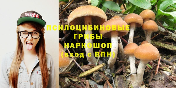 скорость Бугульма