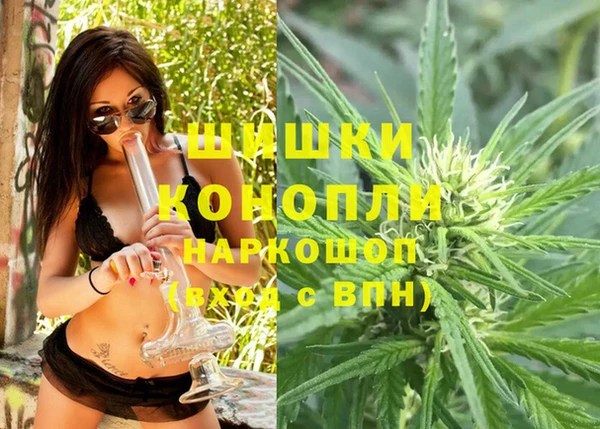 mix Богородск