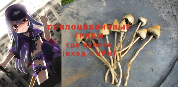 mix Богородск