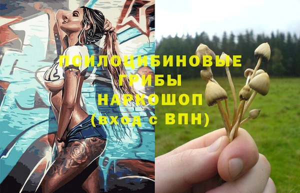 MESCALINE Бородино