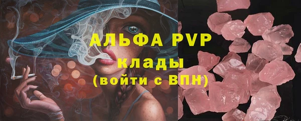СК Богородицк